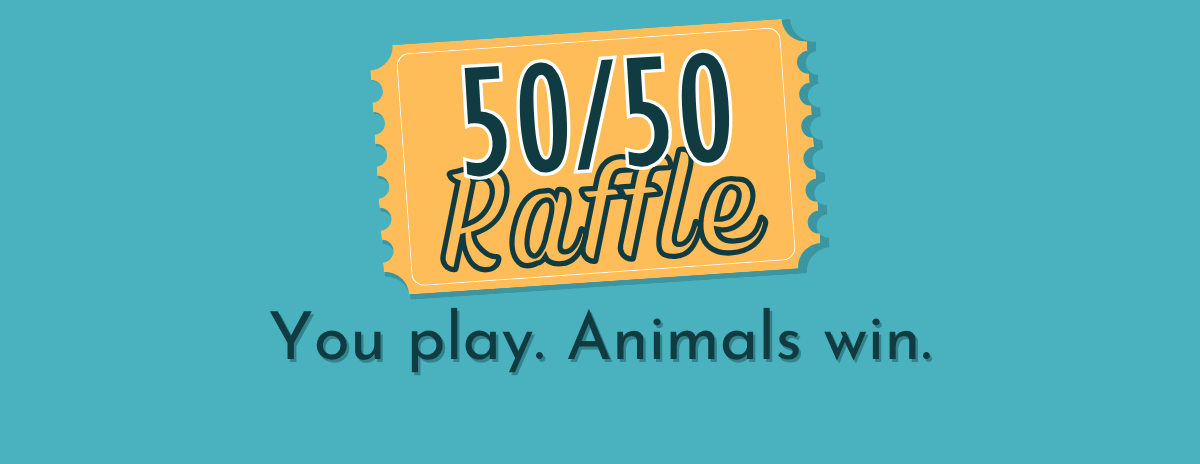 50/50 Raffle 2026